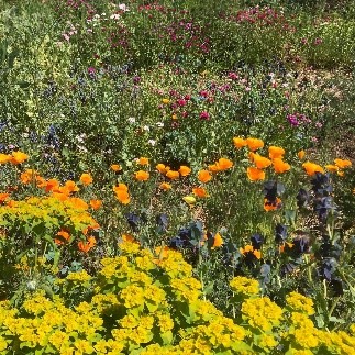 September Volunteer Round Up